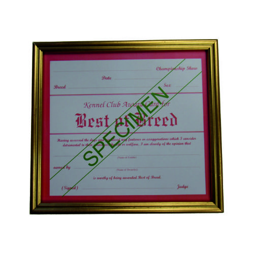 Best of Breed Certificate Frame